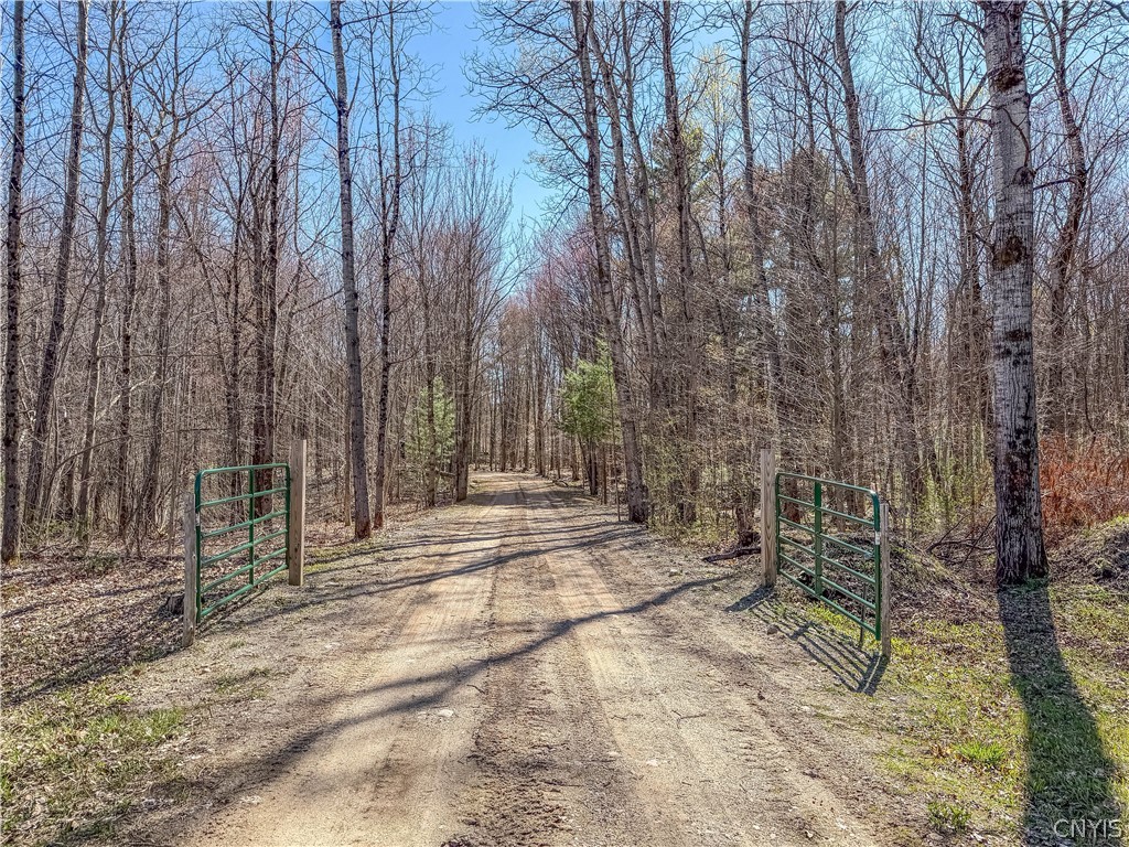 3976 Factory Road Diana, NY 13665 - Photo 4 of 46