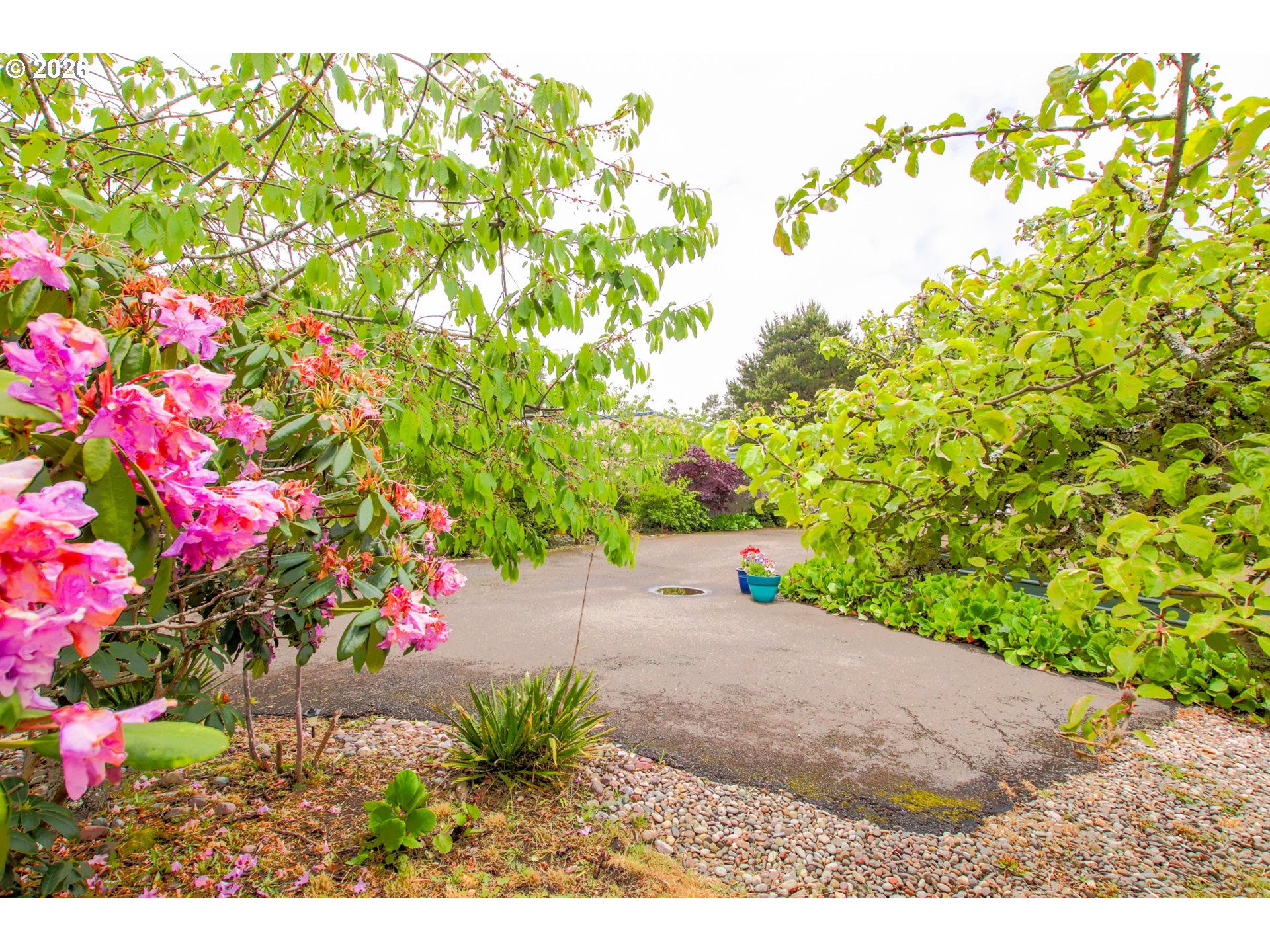 1431 Maple Street Florence, OR 97439 - Photo 36 of 43 a view of a flower arrangement in a garden