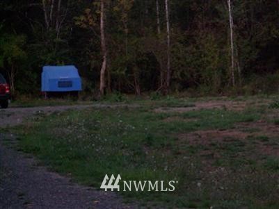 379 View Ridge Road Onalaska, WA 98570 - Photo 1 of 1 Gallery Image 1