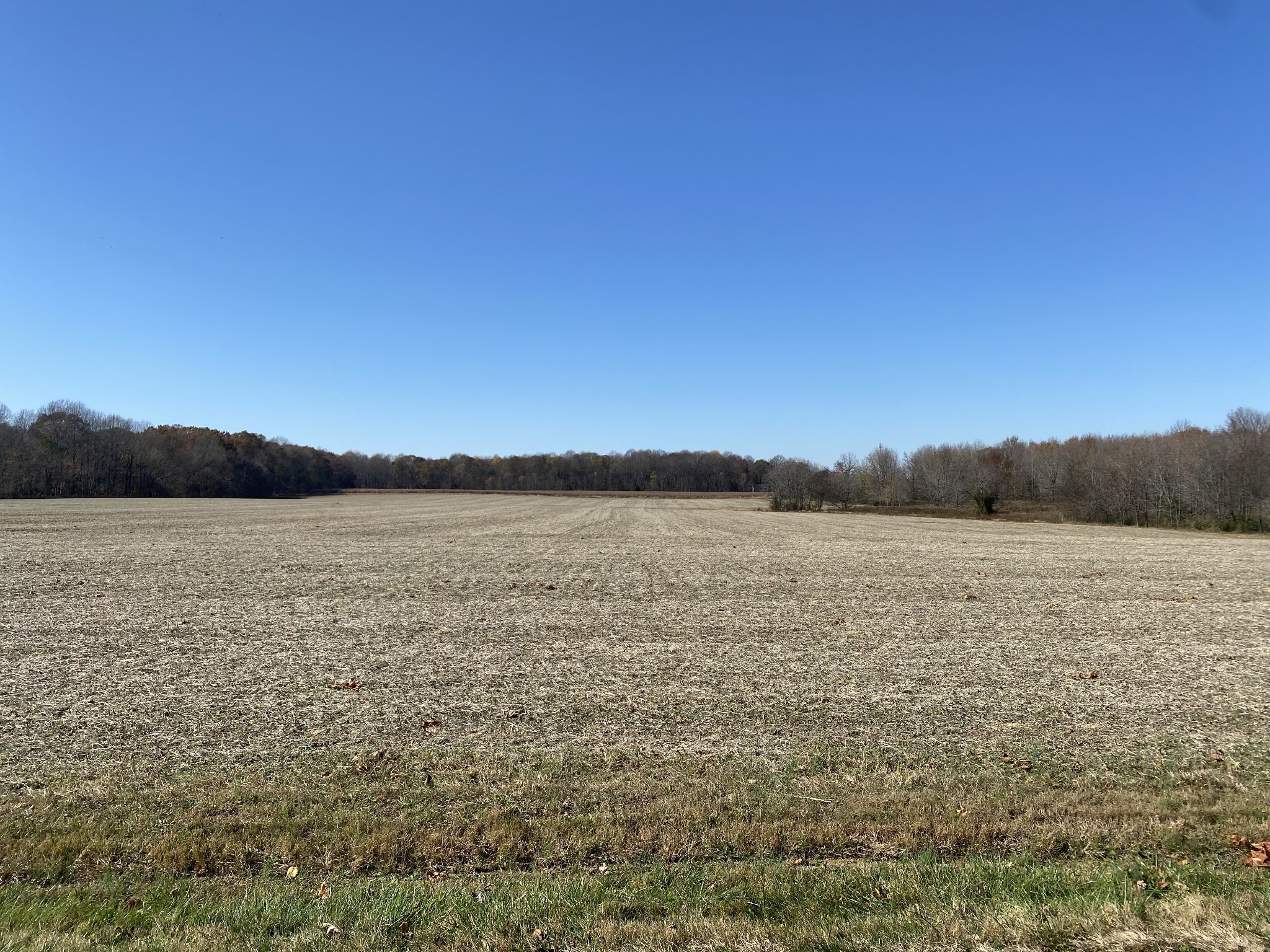 47 Maxie Jones Road Springfield, TN 37172 - Photo 3 of 7 a view of lake and mountain