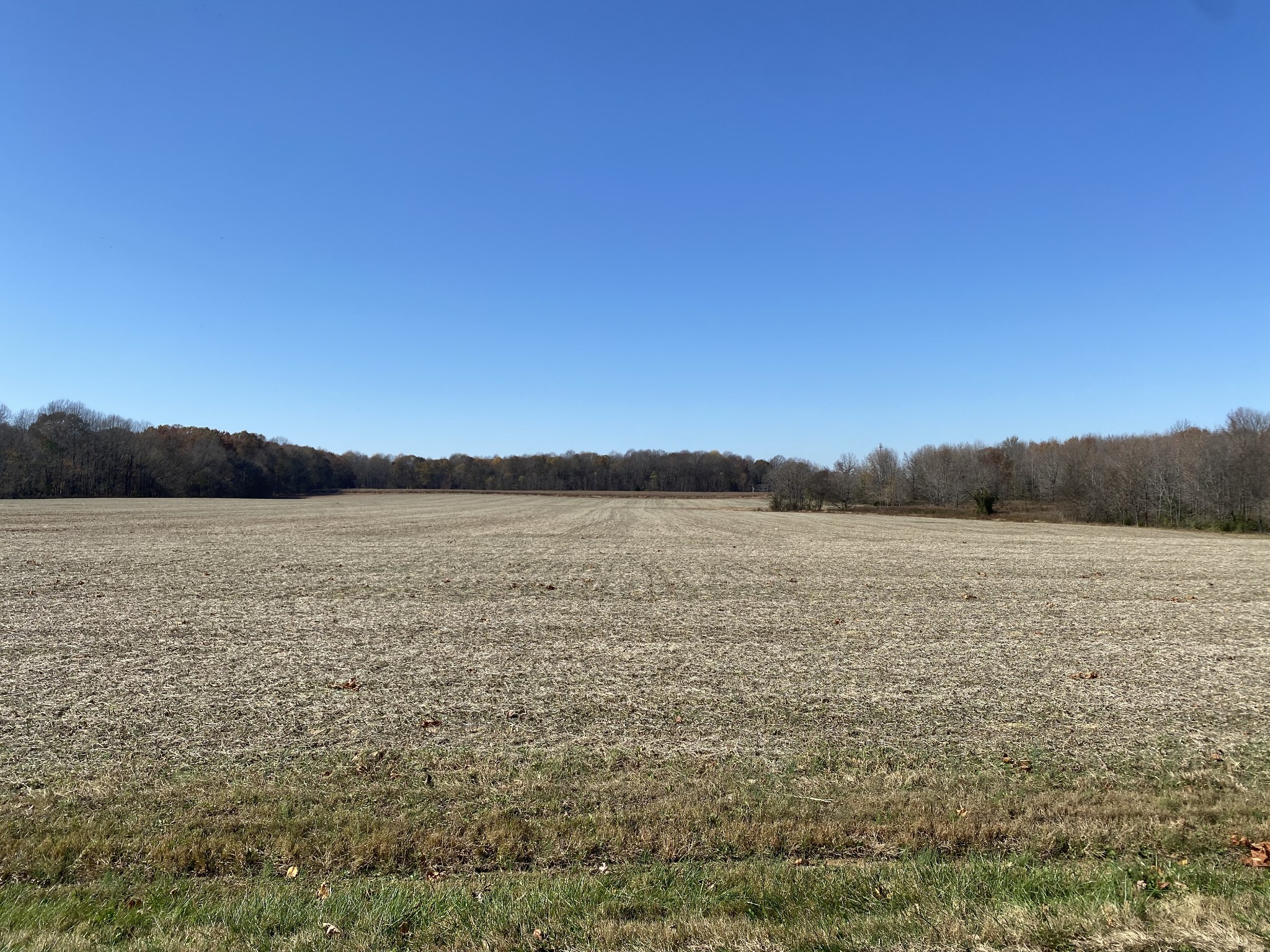 47 Maxie Jones Road Springfield, TN 37172 - Photo 4 of 7 a view of lake and mountain