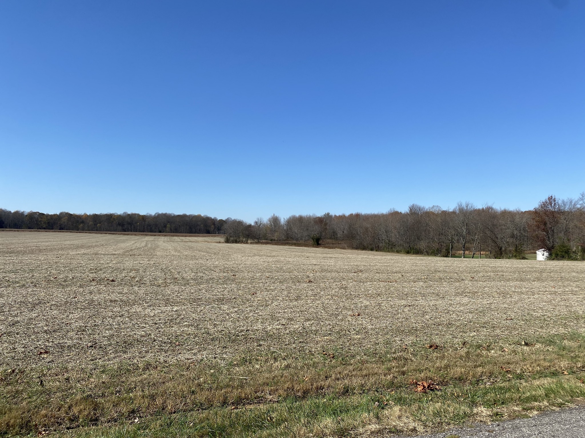 47 Maxie Jones Road Springfield, TN 37172 - Photo 5 of 7 a view of lake