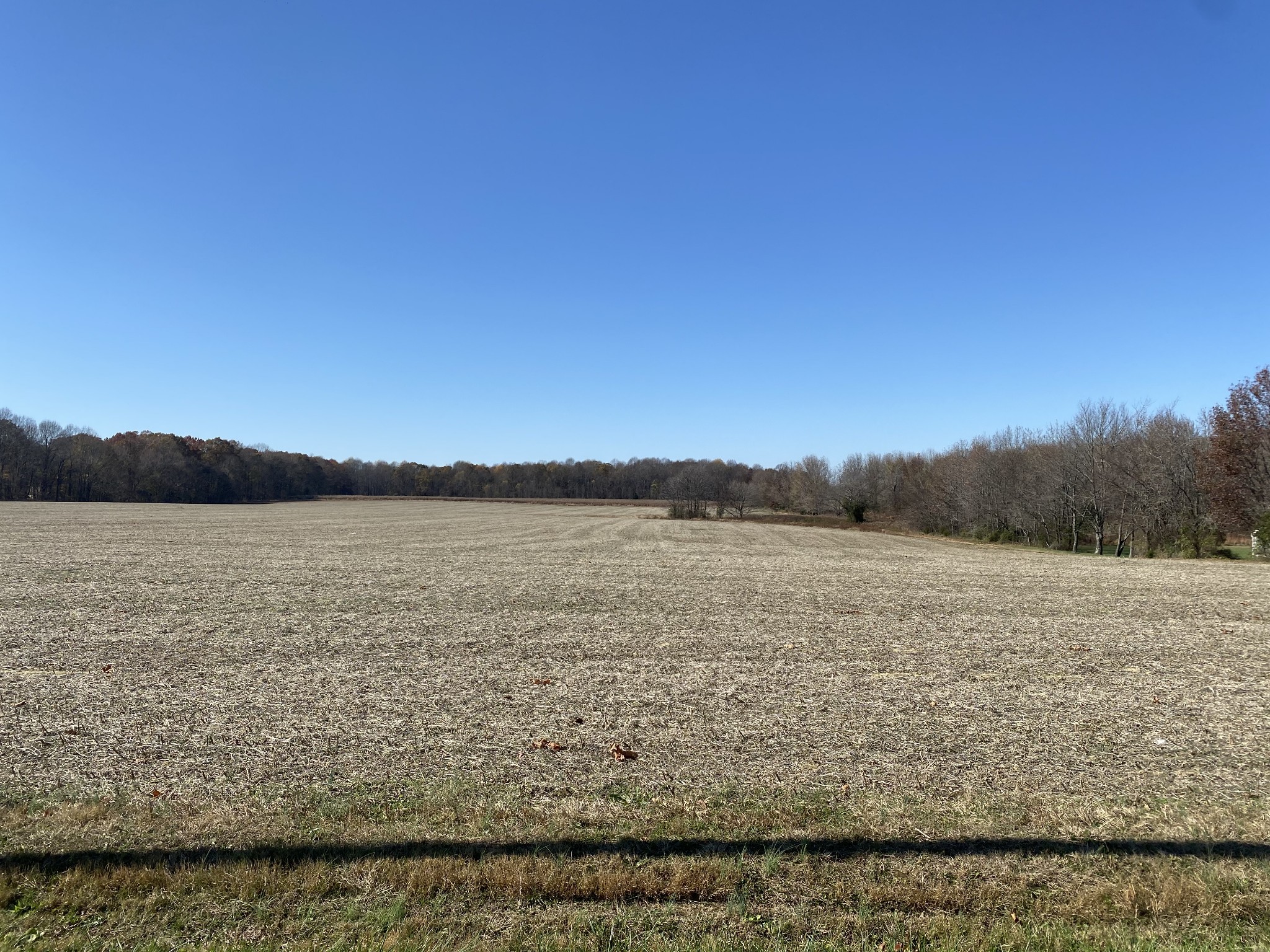 47 Maxie Jones Road Springfield, TN 37172 - Photo 6 of 7 a view of lake