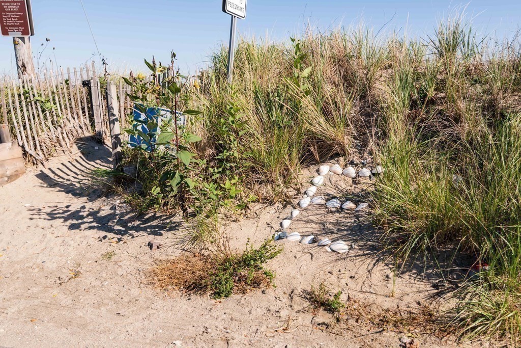 76 E Street Hull, MA 02045 - Photo 9 of 40