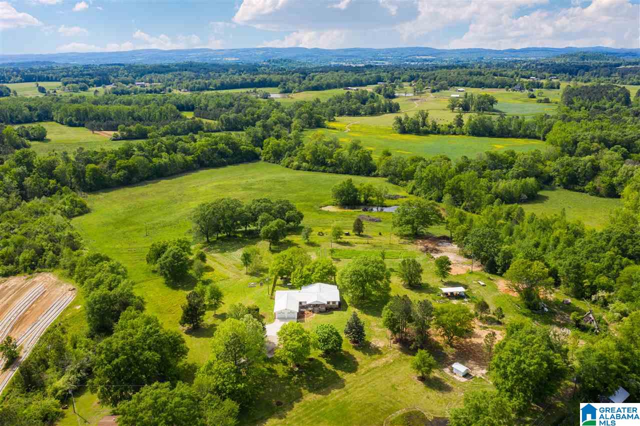 3129 Highway 33 Oneonta Al Oneonta, AL 35121 - Photo 41 of 48