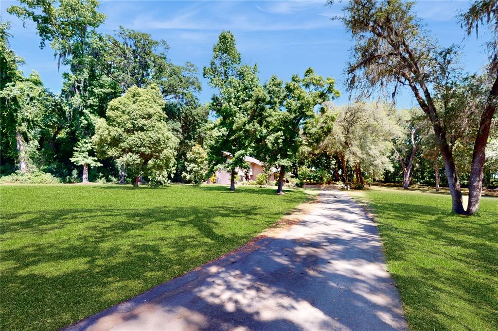 15839 Powerline Road Dade City, FL 33523 - Photo 7 of 62