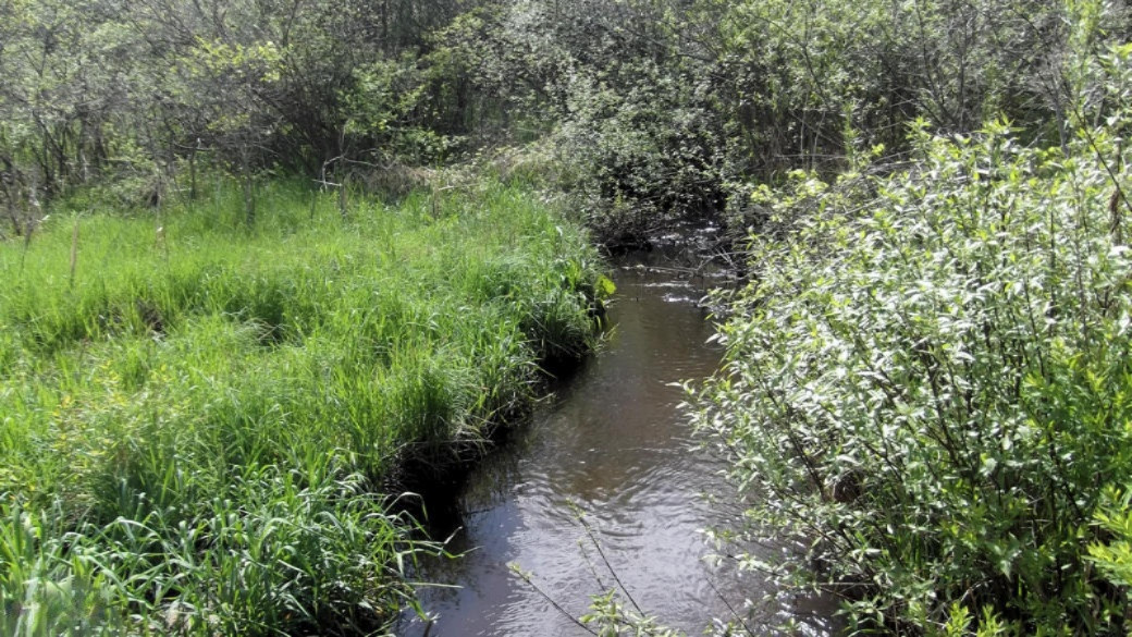 16535 Bailey Road Bailey, MI 49303 - Photo 15 of 24 creek
