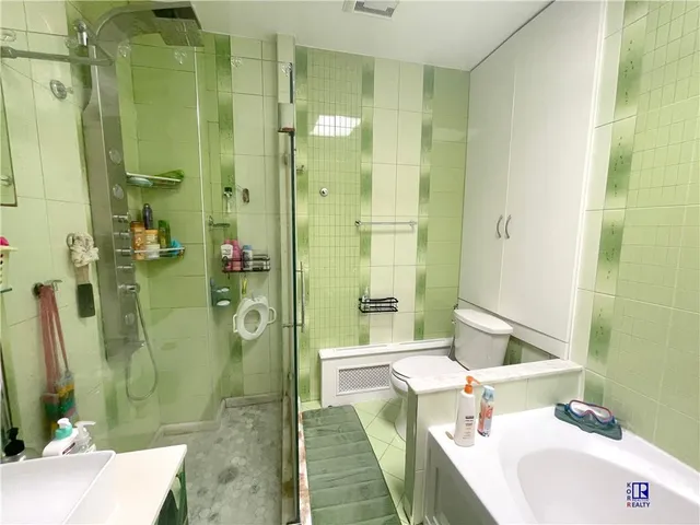 a bathroom with a shower and a toilet