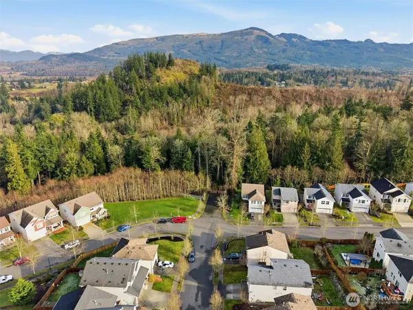 a view of a park with large trees