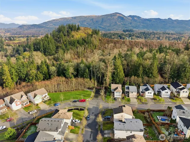 a view of a park with large trees