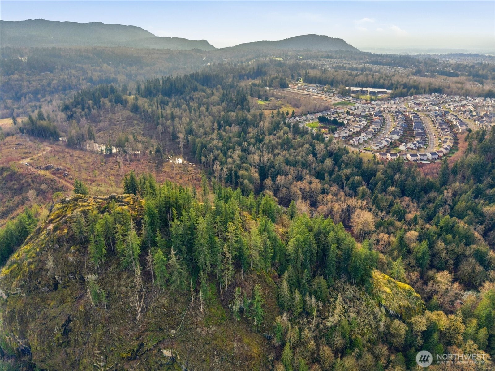 1307-1/2 State Rte 20 Burlington, WA 98233 - Photo 7 of 10 an aerial view of residential houses with outdoor space and trees