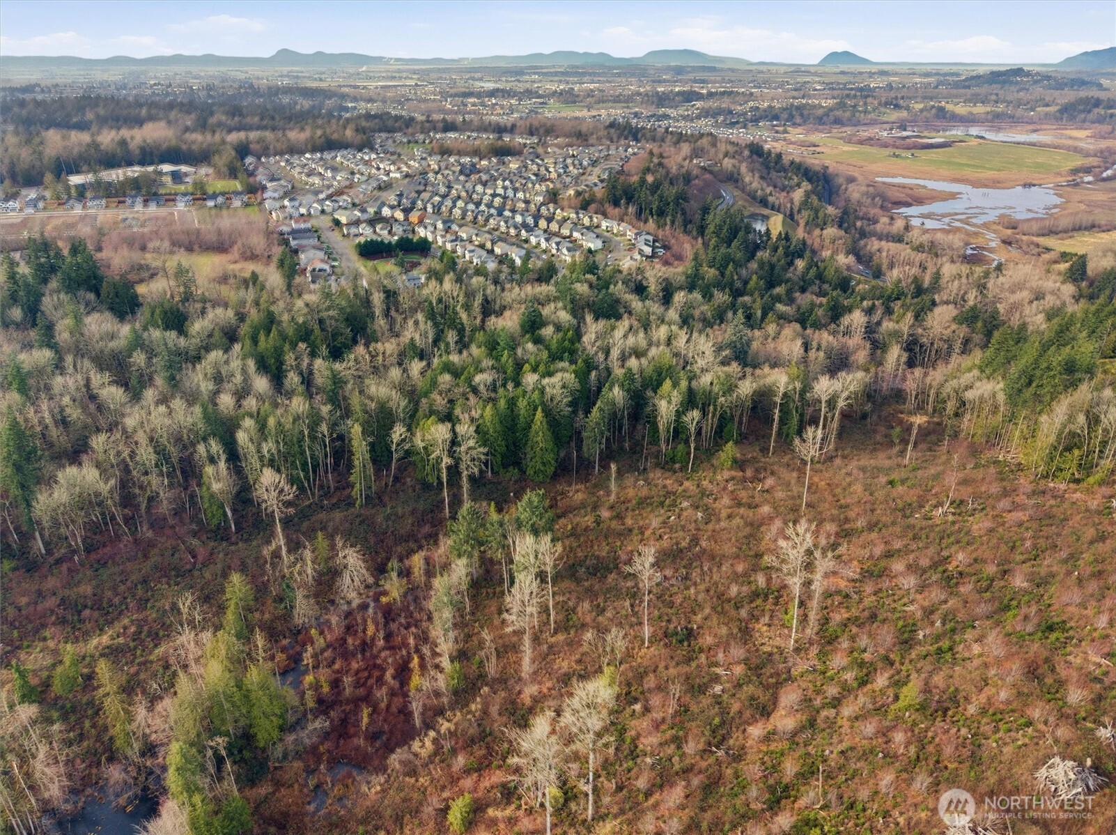 1307-1/2 State Rte 20 Burlington, WA 98233 - Photo 9 of 10 a view of city and mountain
