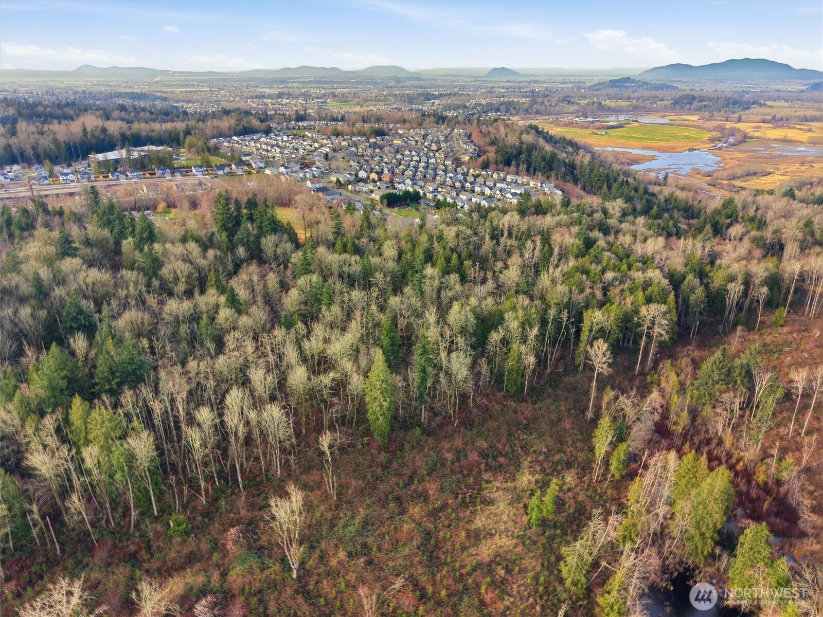 1307-1/2 State Rte 20 Burlington, WA 98233 - Photo 10 of 10 a view of city and mountain