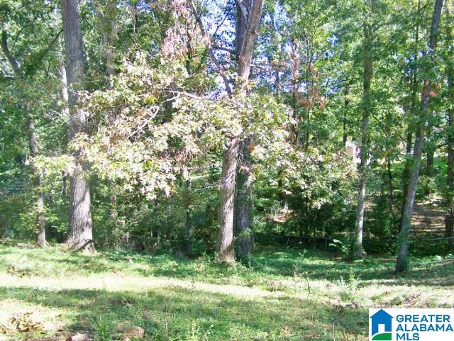 6317 Perry Street Anniston, AL 36206 - Photo 48 of 50