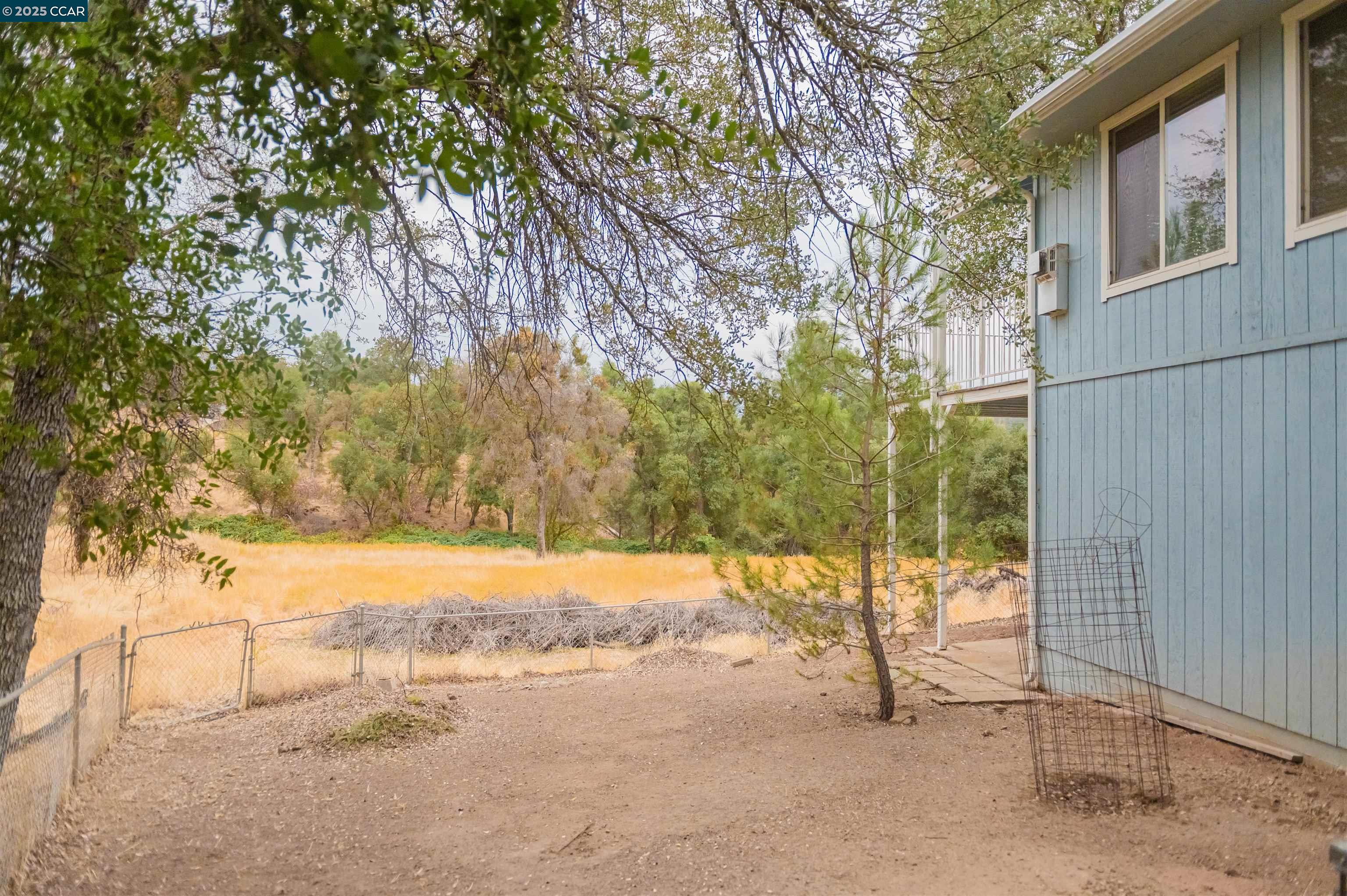 5138 Terrace View Lane Mariposa, CA 95338 - Photo 41 of 48 a view of a yard with large trees