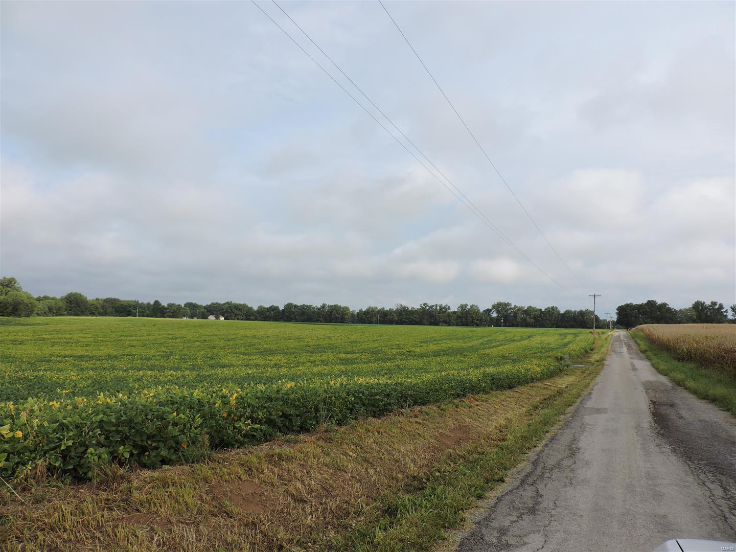 0 State Rt 4 Highway Murphysboro, IL 62966 - Photo 2 of 16