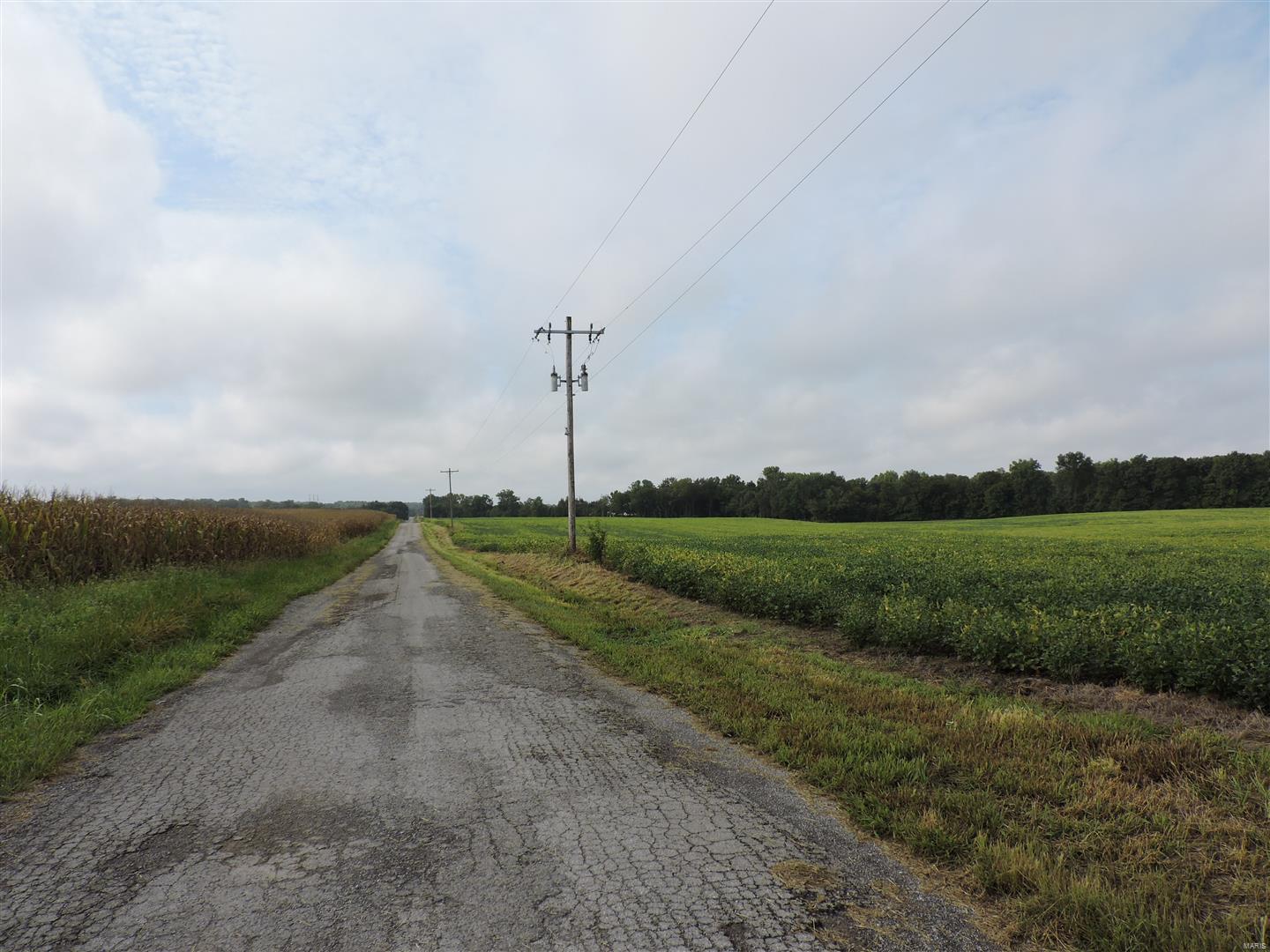 0 State Rt 4 Highway Murphysboro, IL 62966 - Photo 11 of 16