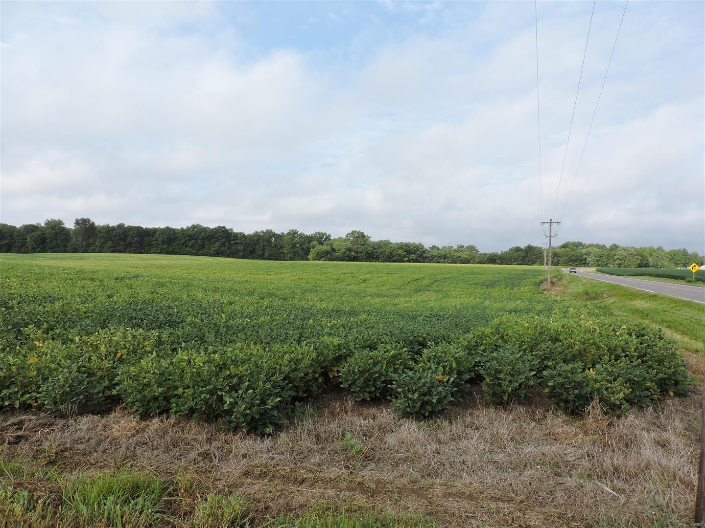 0 State Rt 4 Highway Murphysboro, IL 62966 - Photo 13 of 16