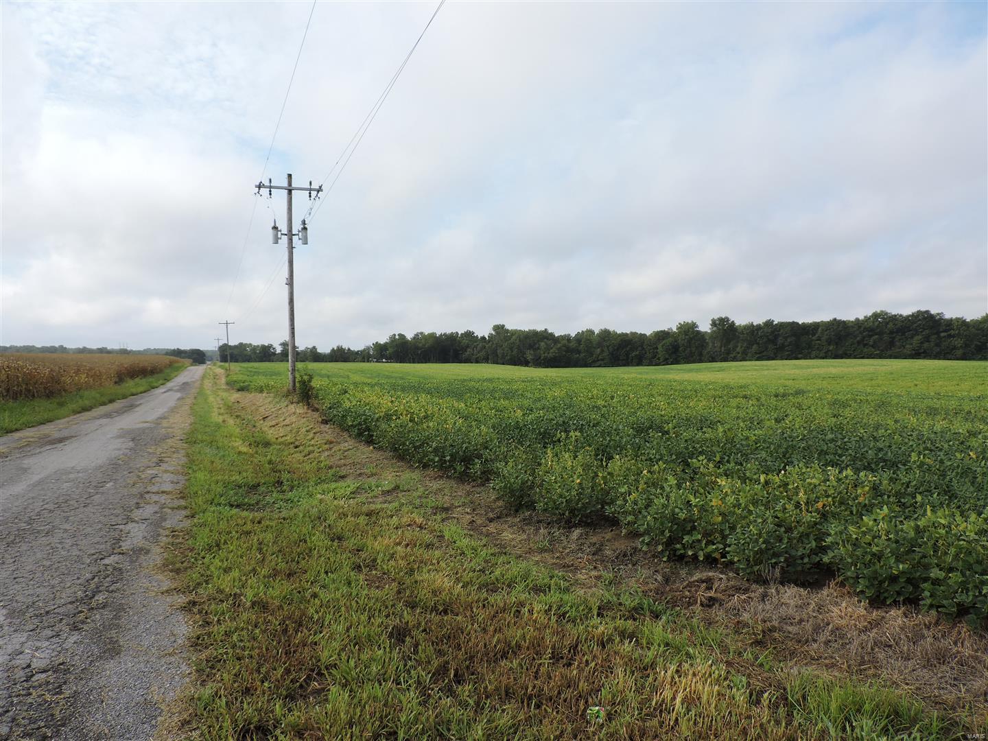 0 State Rt 4 Highway Murphysboro, IL 62966 - Photo 14 of 16