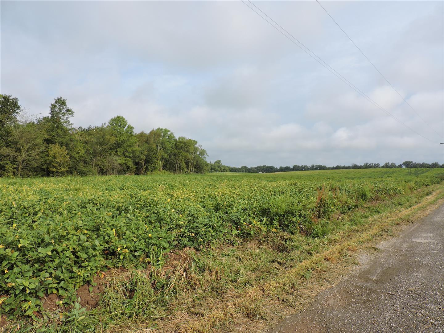 0 State Rt 4 Highway Murphysboro, IL 62966 - Photo 15 of 16