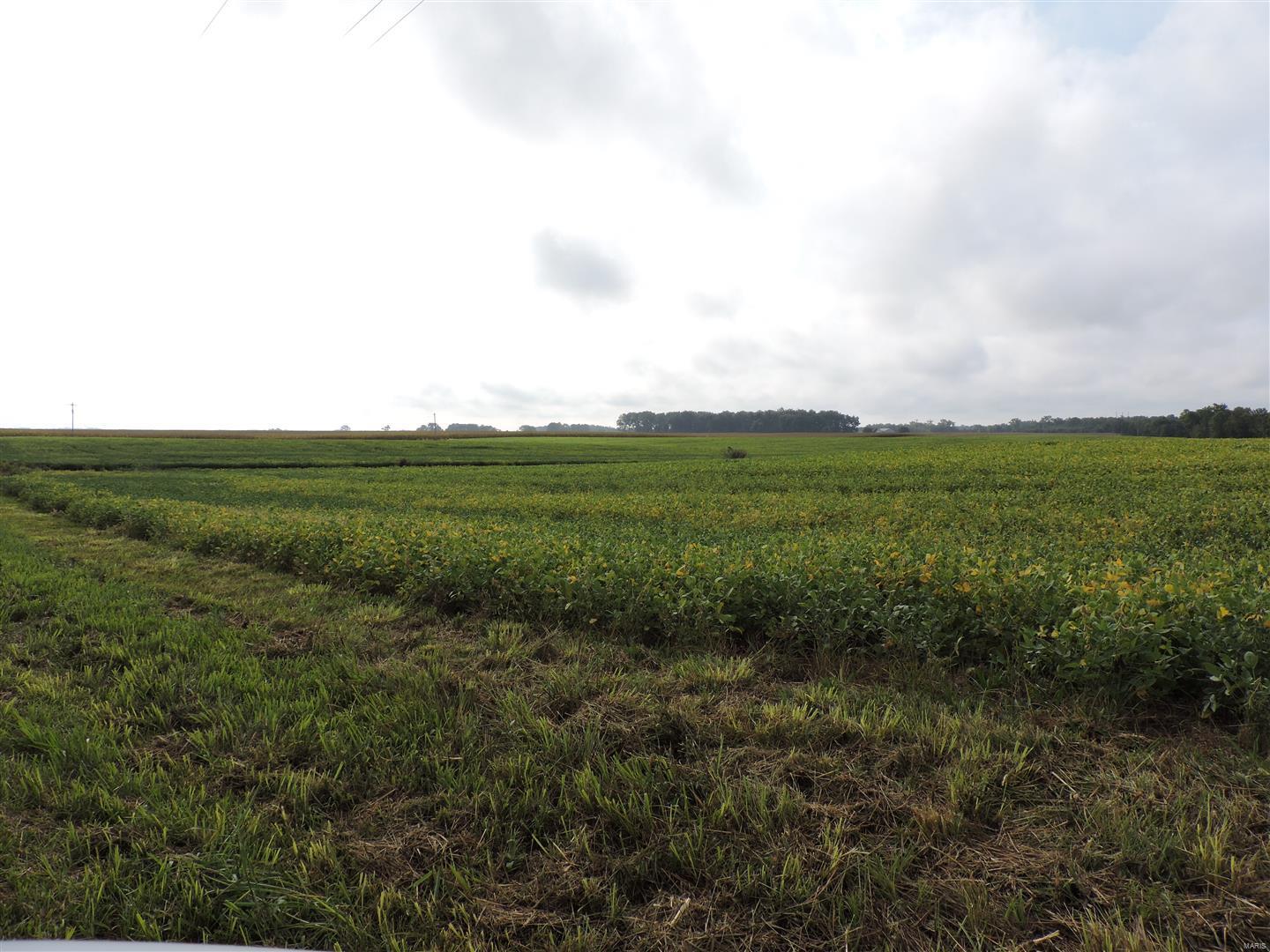 0 State Rt 4 Highway Murphysboro, IL 62966 - Photo 4 of 16