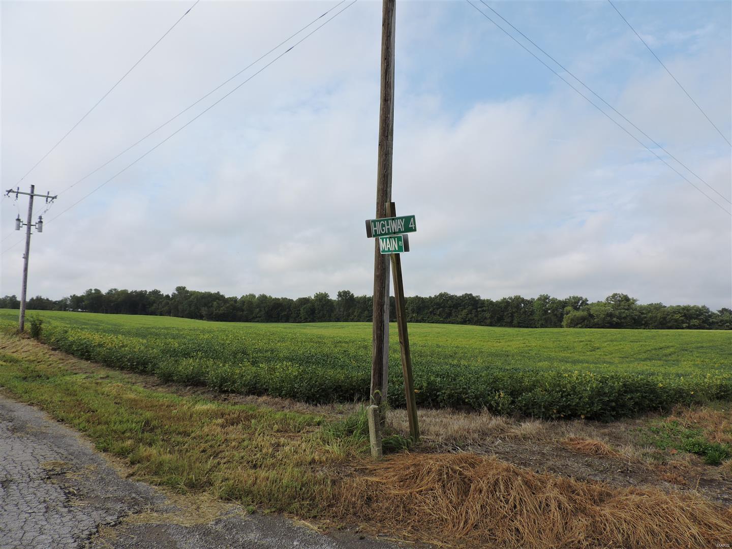 0 State Rt 4 Highway Murphysboro, IL 62966 - Photo 8 of 16