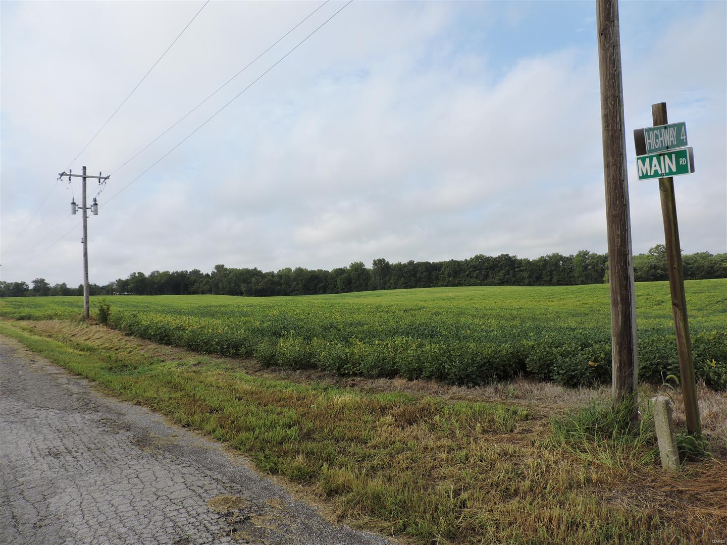 0 State Rt 4 Highway Murphysboro, IL 62966 - Photo 10 of 16