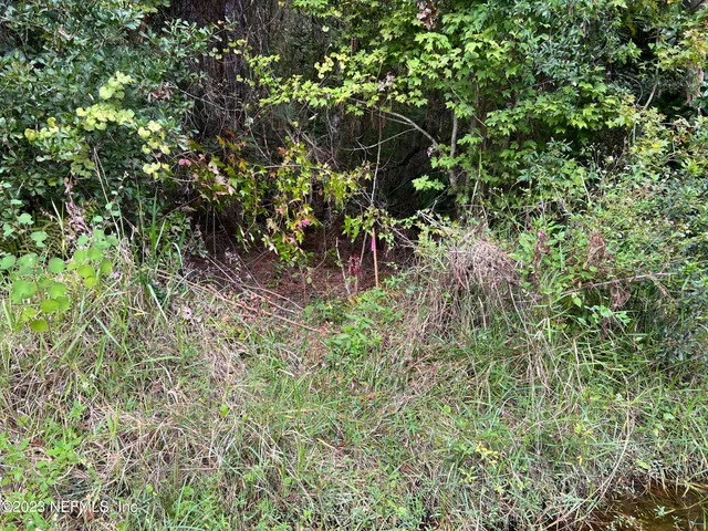 $7,995 | 102 Bowfin Drive, Satsuma, FL 32189