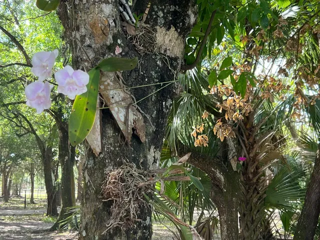 $600,000 | 20107 Northwest 288th Street, Okeechobee, FL 34972