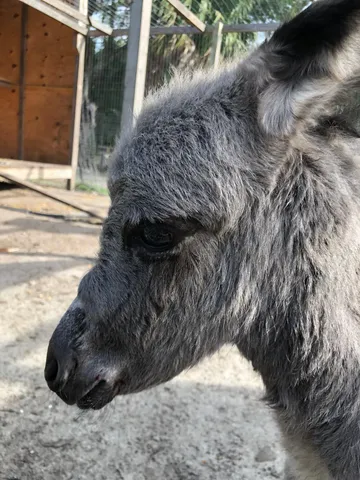 $600,000 | 20107 Northwest 288th Street, Okeechobee, FL 34972