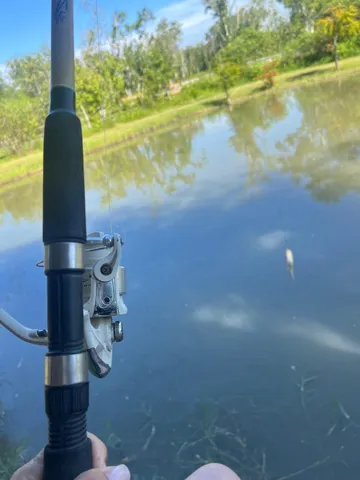 $600,000 | 20107 Northwest 288th Street, Okeechobee, FL 34972