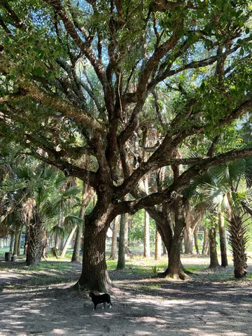 $600,000 | 20107 Northwest 288th Street, Okeechobee, FL 34972