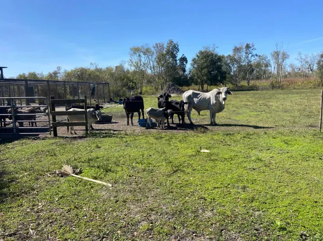 $600,000 | 20107 Northwest 288th Street, Okeechobee, FL 34972