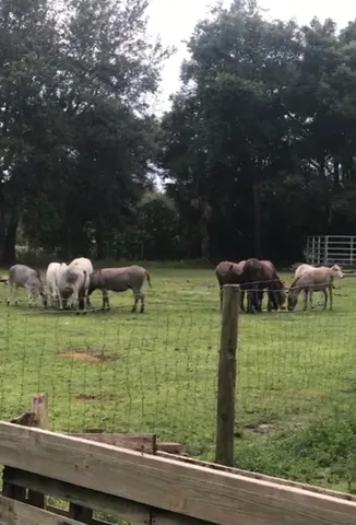 $600,000 | 20107 Northwest 288th Street, Okeechobee, FL 34972