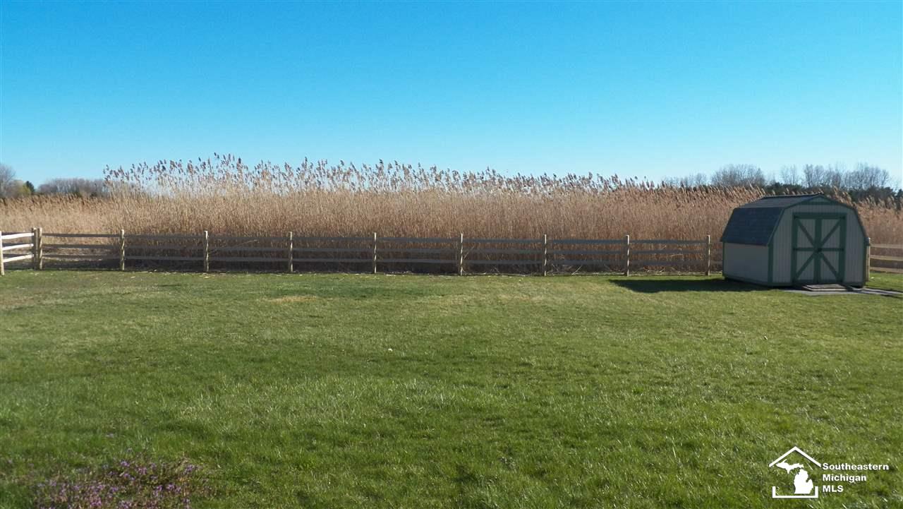 707 East Erie Road Temperance, MI 48182 - Photo 5 of 18 31376528-4.JPG