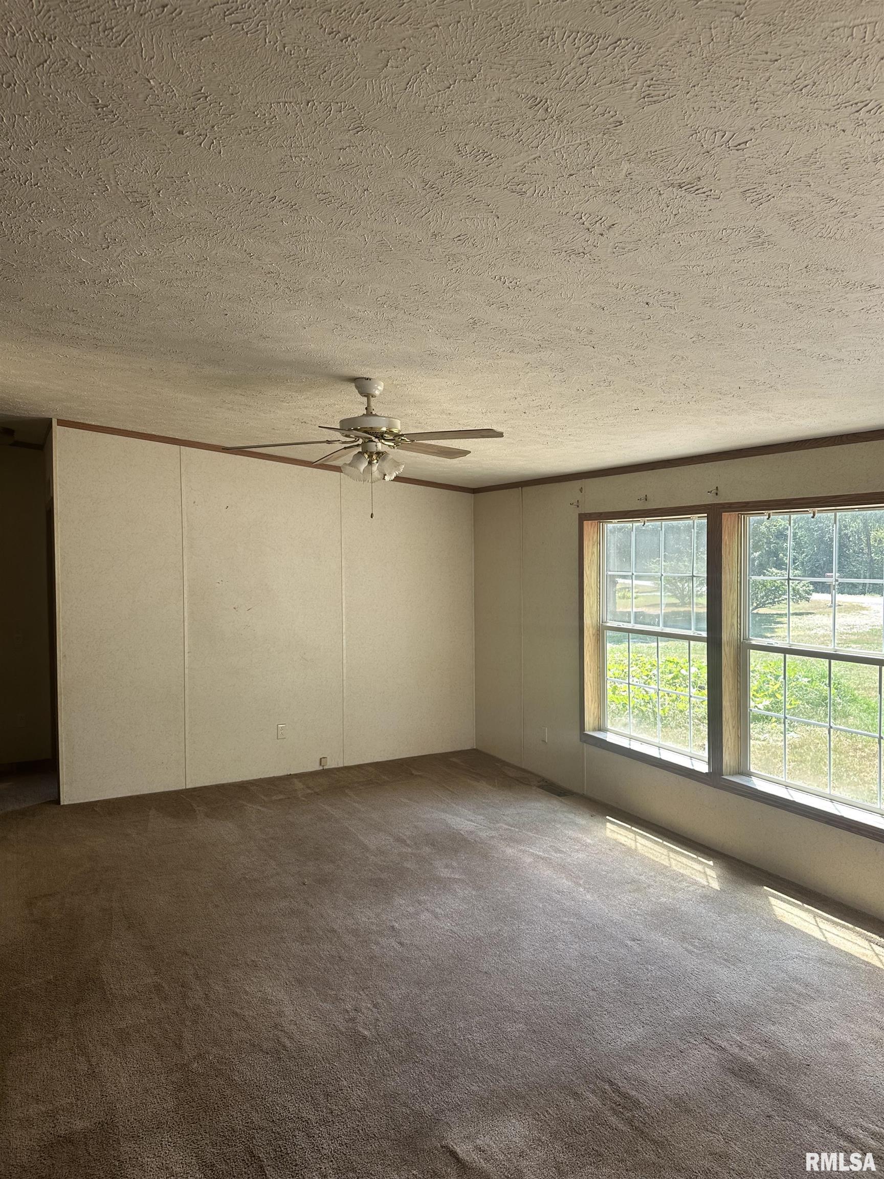 3906 Alyssum Road Pinckneyville, IL 62274 - Photo 11 of 20 Gallery Image 11