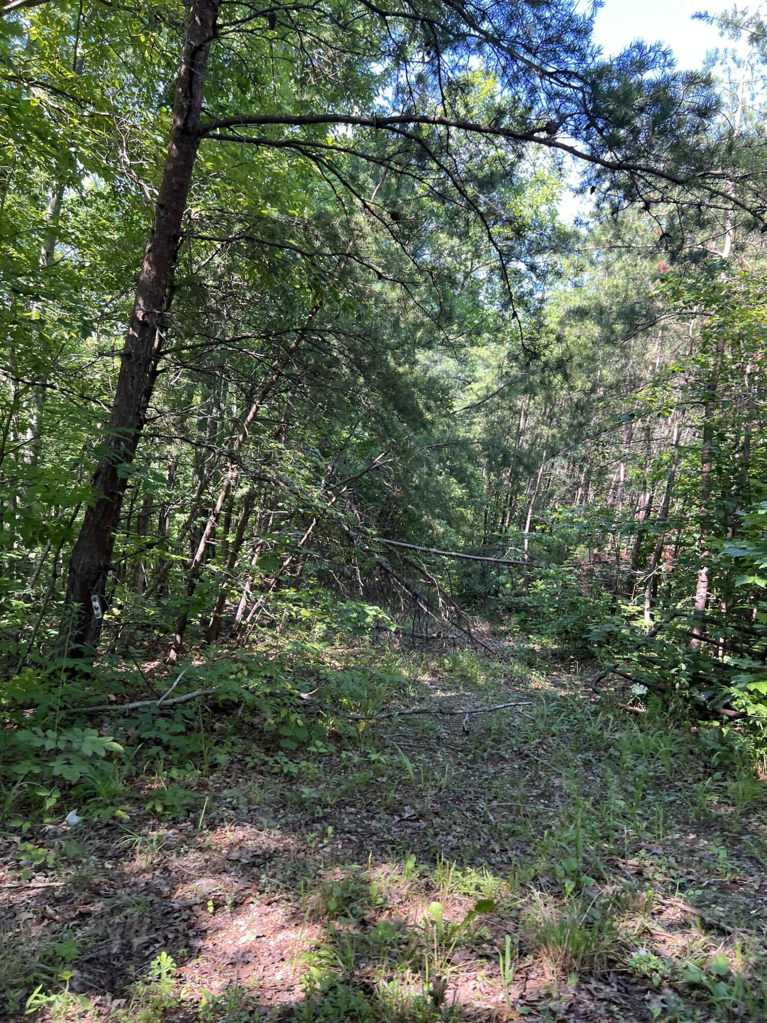290 Morris Cemetery Road West Liberty, KY 41472 - Photo 6 of 25 Photo Jul 11, 11 13 19 AM