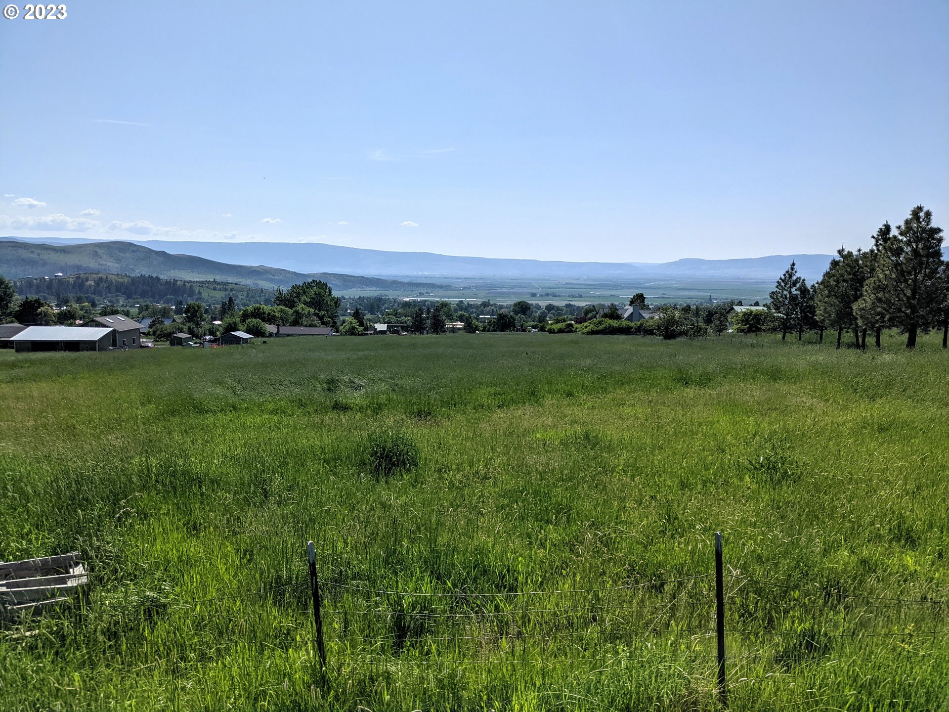a view of a grassy field with trees and trees