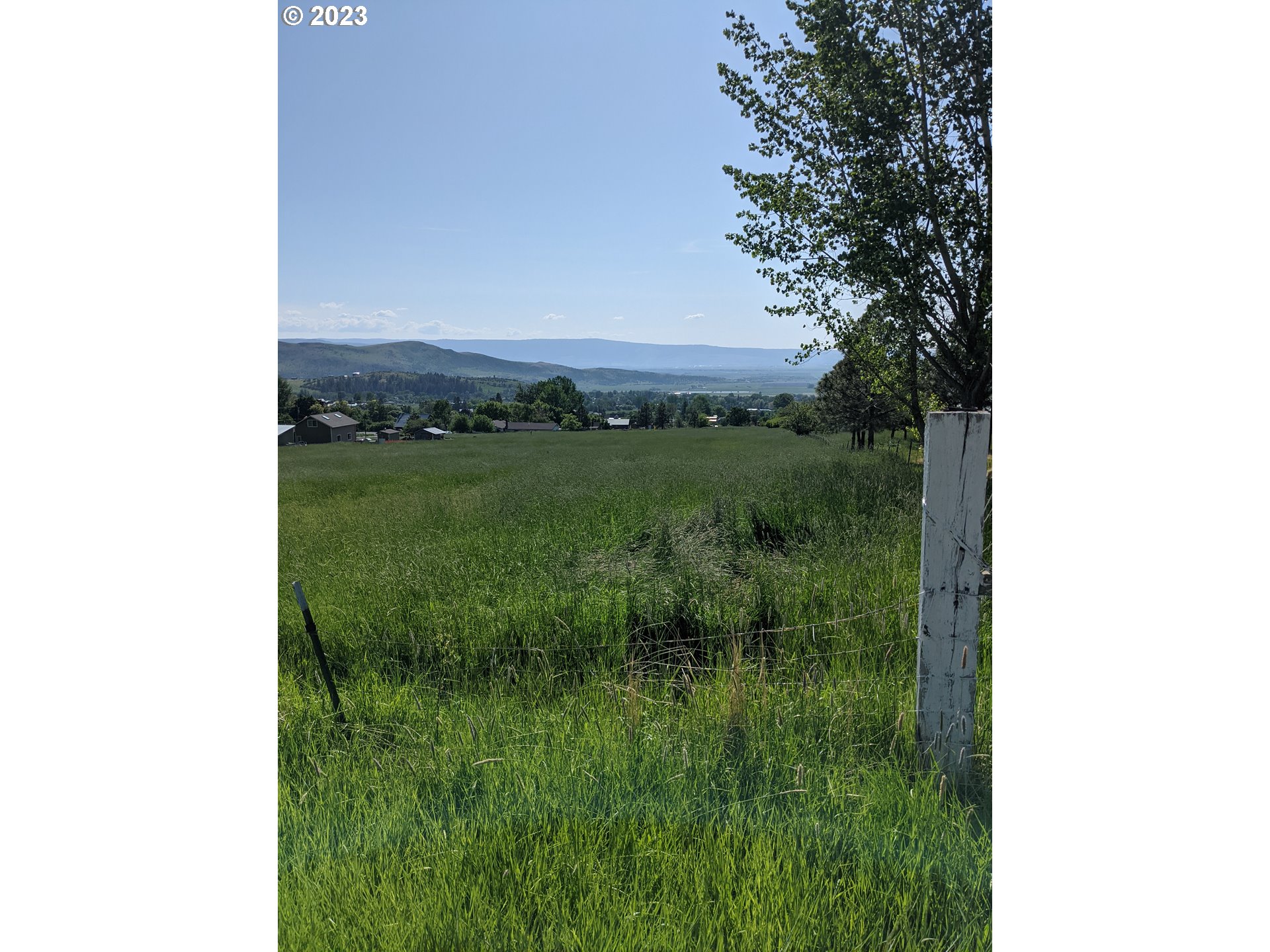 0 Stackland Road Cove, OR 97824 - Photo 2 of 3 a view of a lush green field