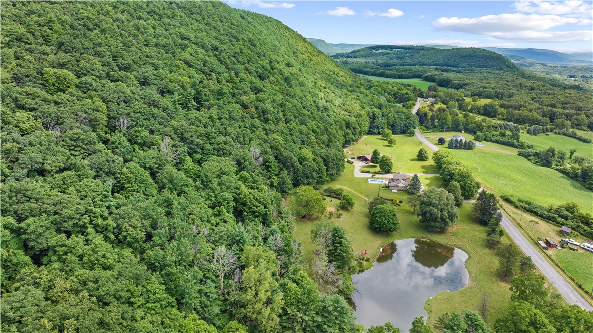 9000 Garlinghouse Atlanta Road Naples, NY 14512 - Photo 3 of 50