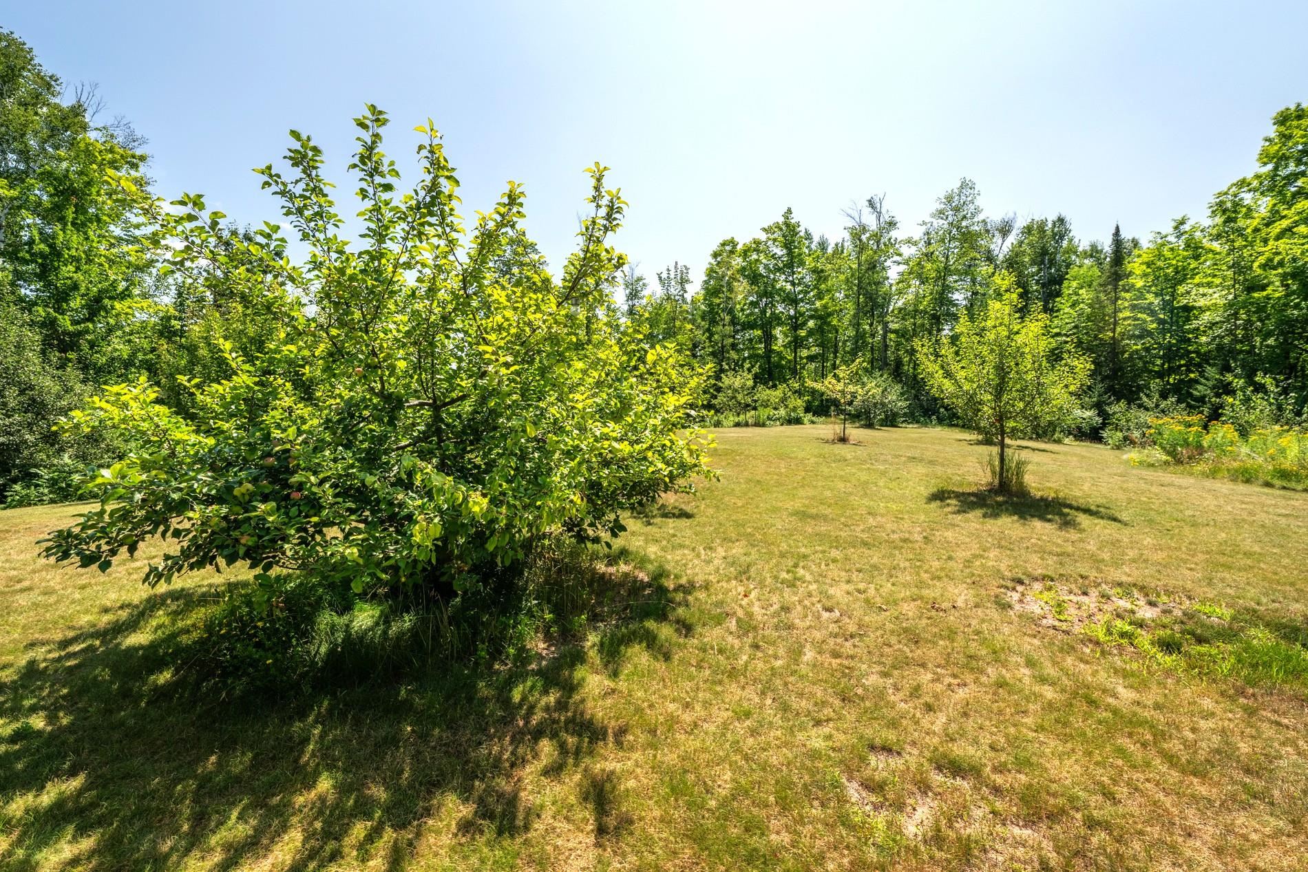 N7653 Typner Lake Road Deerbrook, WI 54424 - Photo 53 of 59