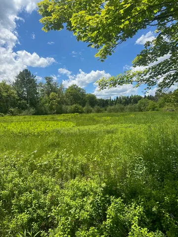 $90,000 | 123 Highway 5, Unit LOT #4, Westminster, VT 05346
