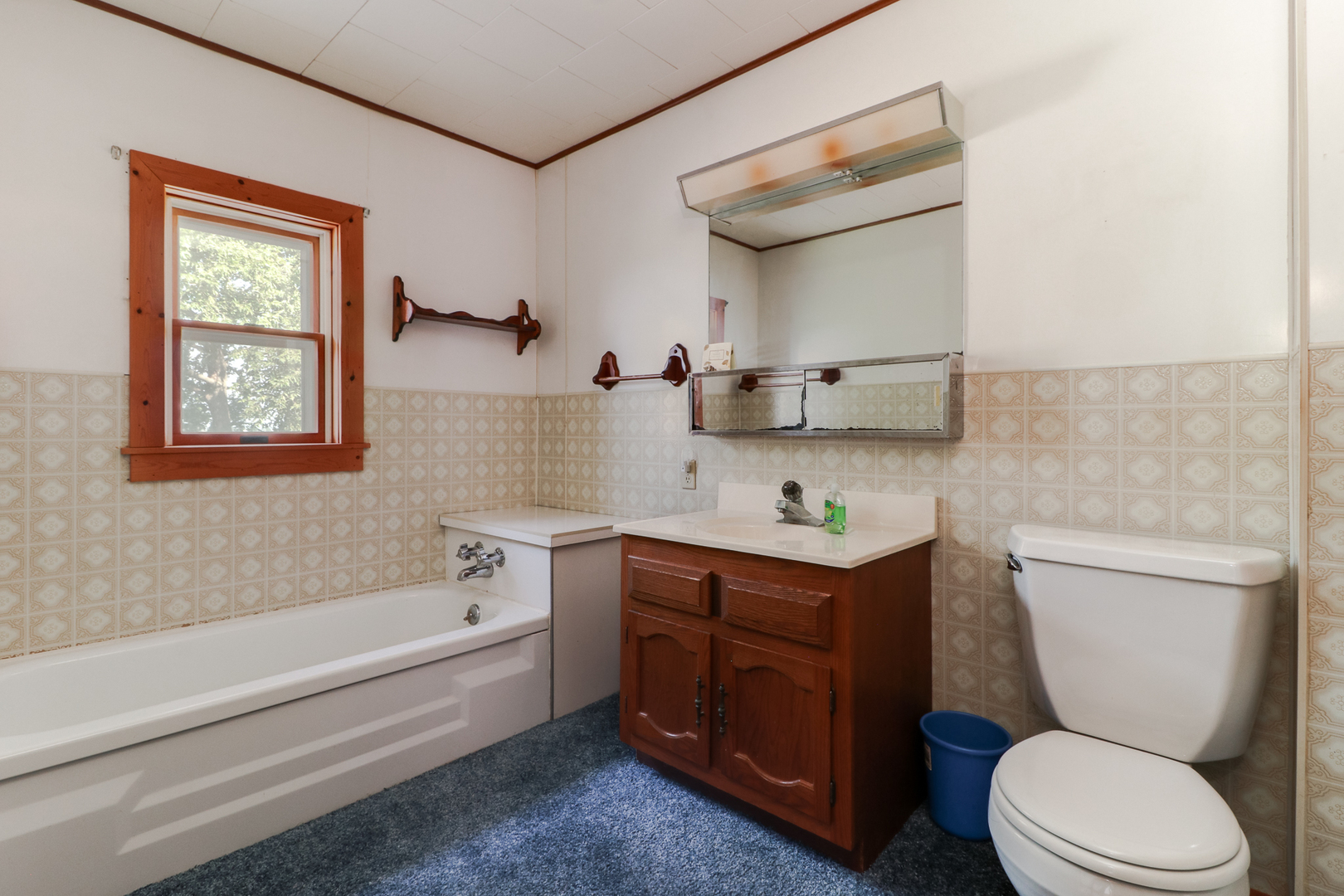 6210 Springfield Road Delavan, IL 61734 - Photo 22 of 37