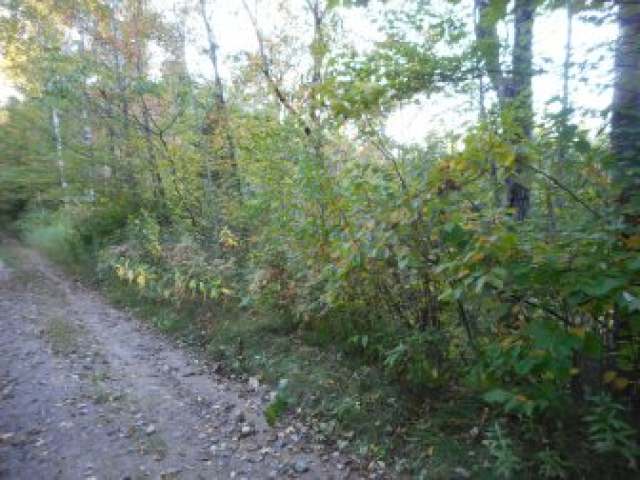 Near High Bridge Trail Phillips, WI 54555 - Photo 2 of 6 Gallery Image 2