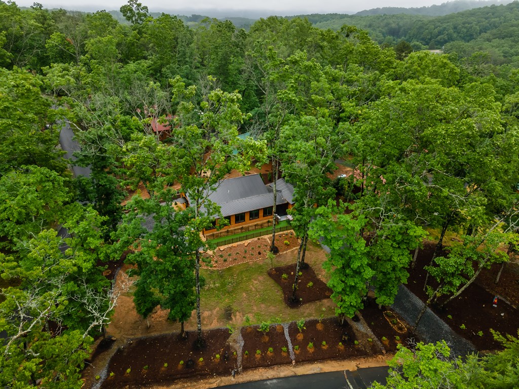 50 Whispering Hls Road Murphy, NC 28906 - Photo 18 of 48 Gallery Image 18