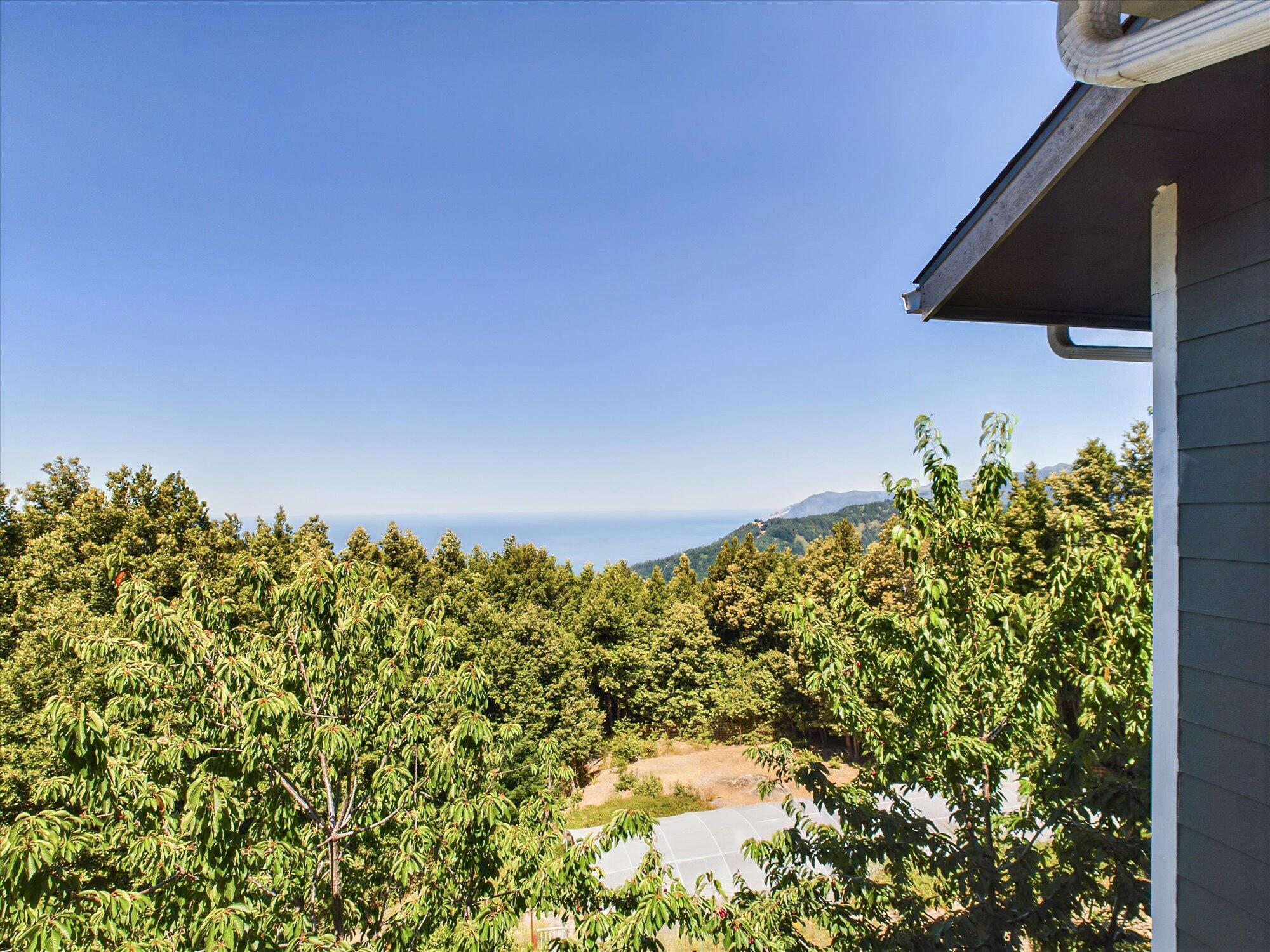 299 Cook Road Shelter Cove, CA 95589 - Photo 57 of 73 57-299 Cook Road Shelter Cove-154