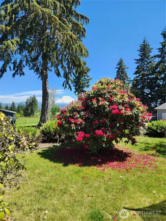 $635,000 | 7704 283rd St Court East, Graham, WA 98338