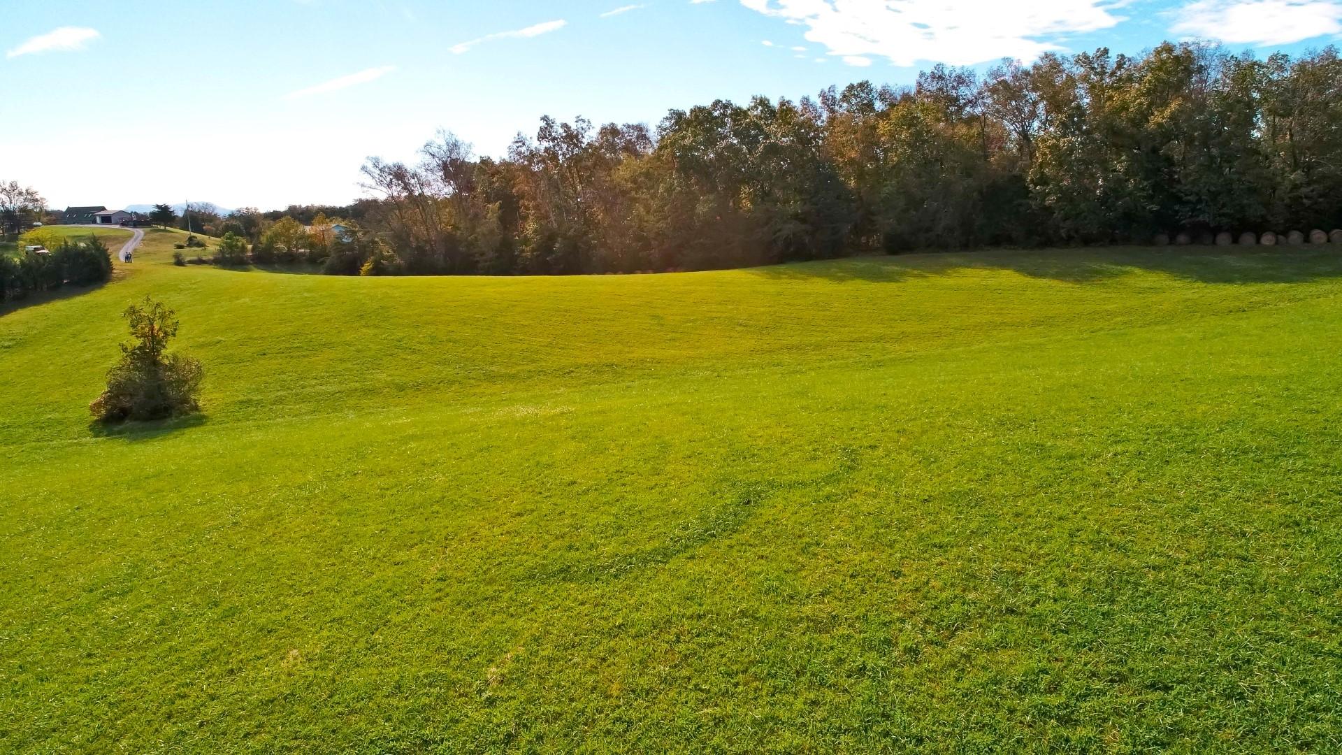 8.48-acres Joe Reed Road Bybee, TN 37713 - Photo 14 of 20 DJI_0018