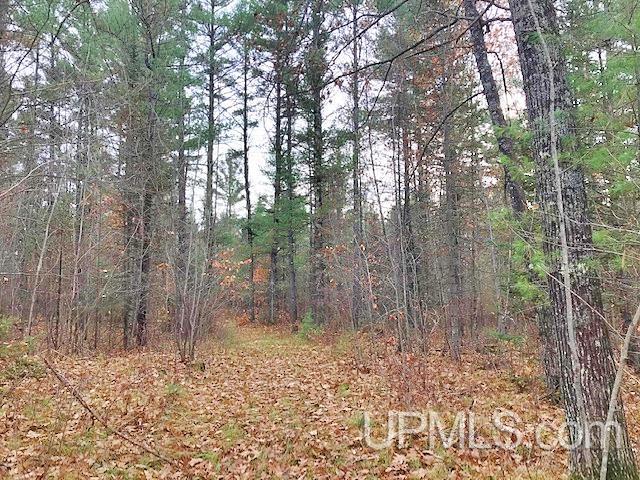 W7327 Barker Road Amberg, WI 54102 - Photo 14 of 14 Gallery Image 14