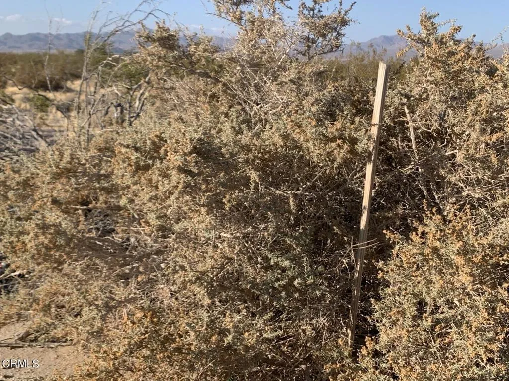 0 Rabbit Springs Lucerne Valley, CA 92356 - Photo 7 of 11 a close up of a sink